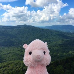 Meet your Posher, Tori